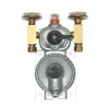 FIREBOY-XINTEX Wall-Mount, Two-Stage LPG Regulator