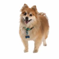 NITE IZE S-Biner&reg; TagLock&trade; Aluminum,- 2-Pack -Deals Boat Cabin & Galley Store 19273606 4 1500.26102018113331