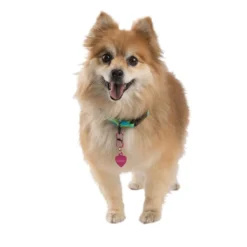 NITE IZE S-Biner&reg; TagLock&trade; Aluminum, 2-Pack -Deals Boat Cabin & Galley Store 19273614 4 1500.26102018113346