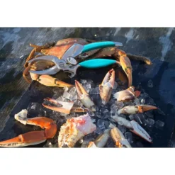 TOADFISH Crab and Lobster Cutter -Deals Boat Cabin & Galley Store 20267654 4 1500.19042021103038